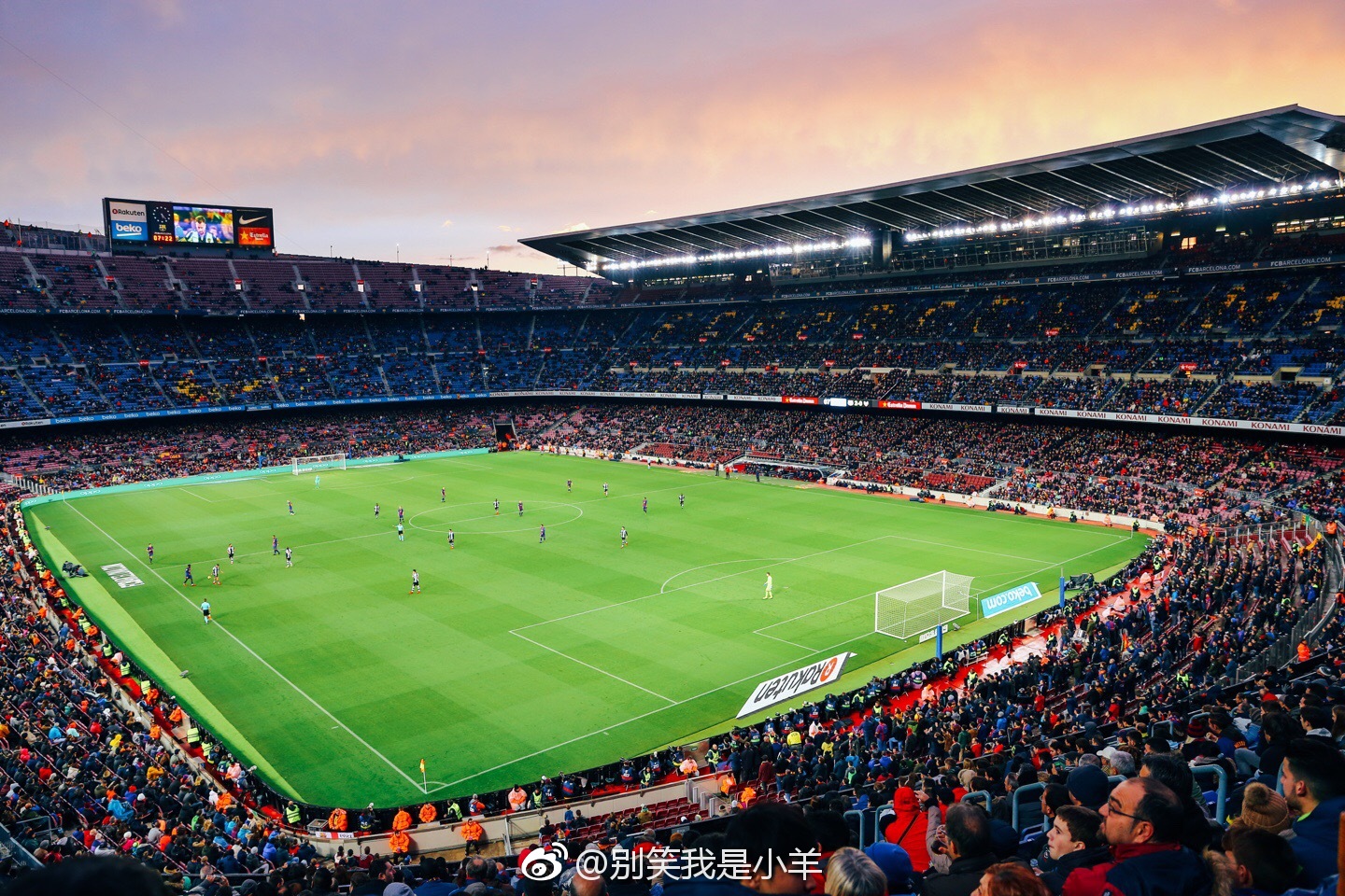 九游网页版登录入口-科维托娃迎来十二赛季出色发挥，巴塞罗那观众热烈欢呼！上演精彩一战的简单介绍